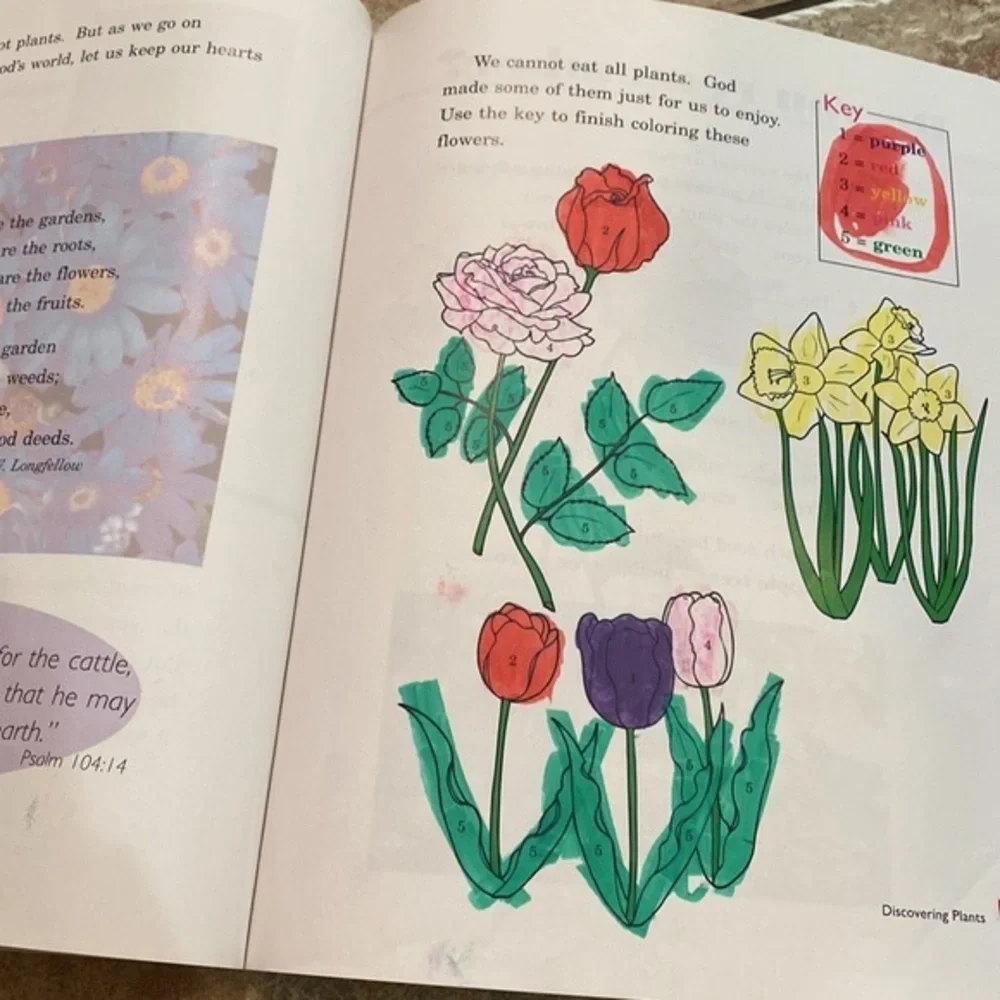 A Beka Discovering God’s World 1 Science Reader Student Book Homeschool